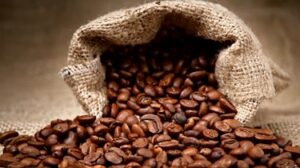 Lee más sobre el artículo El café boliviano ya no vende solo granos, también crea negocios y genera empleos