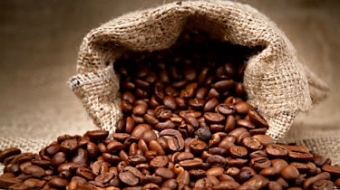 Lee más sobre el artículo El café boliviano ya no vende solo granos, también crea negocios y genera empleos