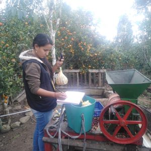 Cosecha evaluacion de ensayo lixiviado