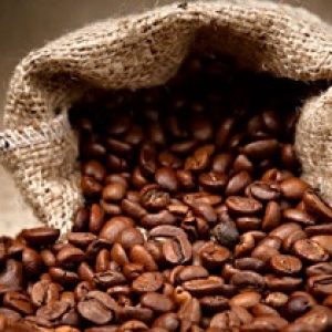 café-boliviano-en-exportación1