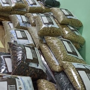 p_cafeverde
